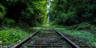 “畅享chat人工智能免费入口乐趣”