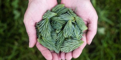 “AI写作：助力创作，改变未来”