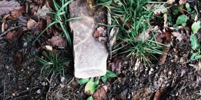 AI：揭秘智能时代的无限可能