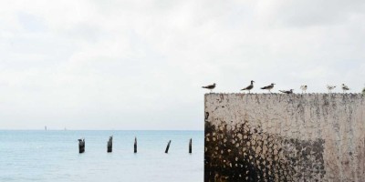 “AI写作：释放您的创造力”