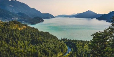 人工智能：现状、发展与应用前景