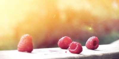 畅享聊天乐趣：chat3.5在线使用指南