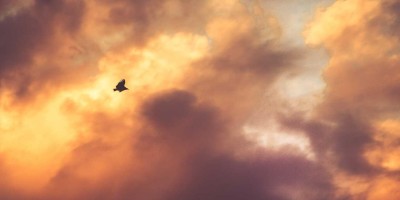 智能对话：chat人工智能免费入口推荐