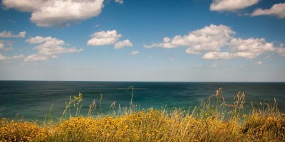 “快速上手chat人工智能免费入口中文版”