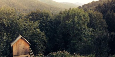 “探索AI的未来：发展现状与前景展望”