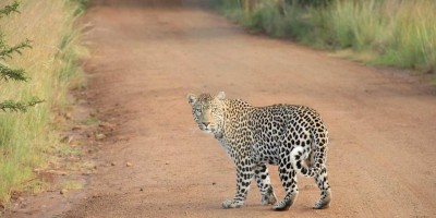 Chat3.5免费版登录入口大揭秘！