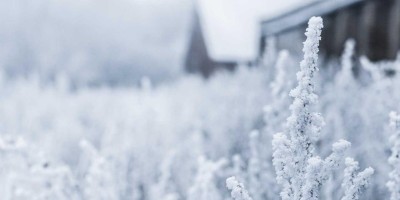 “Chat人工智能免费入口：畅享智能交流新体验”