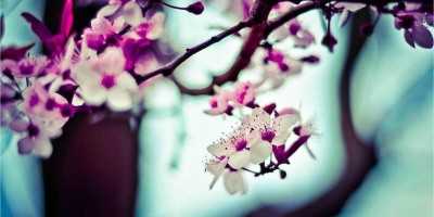 “Chat3.5免费版登录入口全指南：解决你的所有疑问”