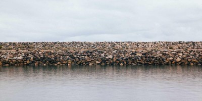 “AI崛起：人工智能的现状与前景”