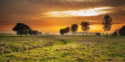 “Chat3.5免费版登录入口详解：快速便捷的沟通方式”