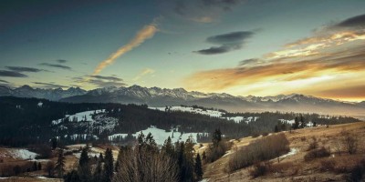 AI写作：开启智能创作新时代