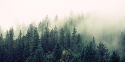 “探寻chat人工智能免费入口指南”