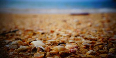 **Chat3.5免费版登录指南：快速便捷入口大全**