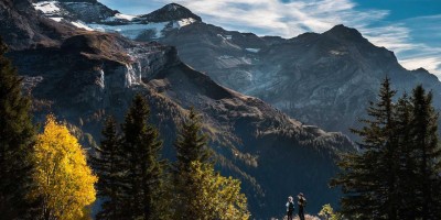 Chat人工智能免费入口全攻略