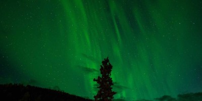 “Chat人工智能：免费畅聊新体验”