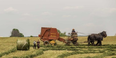 探秘免费chat人工智能入口