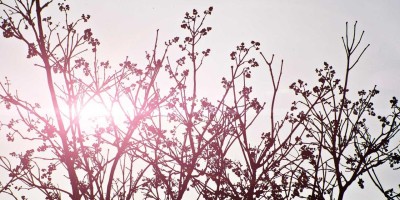 “AI写作服务小程序：高质量论文自动生成”