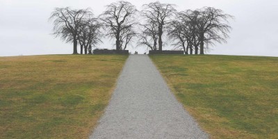 “AI写作：探索人工智能的发展现状与创意潜力”