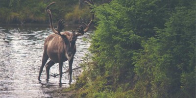 “chat3.5免费版登录入口大揭秘：国内全中文版网页在线使用汇总！”