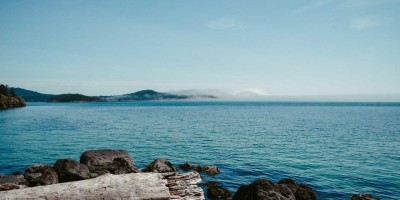 “Chat人工智能免费入口大全：畅享智能对话体验”