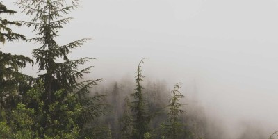 “Chat3.5免费版登录：畅享轻松在线交流”