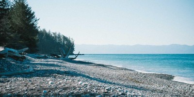 “人工智能：现状与前景”