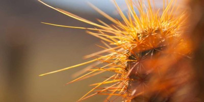 “AI革命：智能写作引领未来”