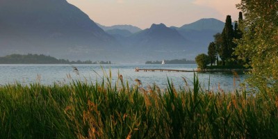 “AI革命：发展现状与未来展望”