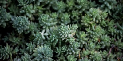 AI助力高效论文写作攻略