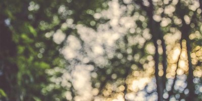 “AI的未来前景与发展现状”