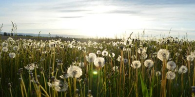 人工智能应用与发展：现状与未来
