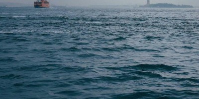 “Chat人工智能免费入口搜罗”