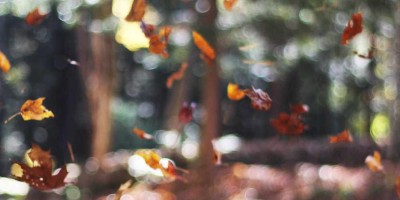 chat人工智能免费入口全攻略