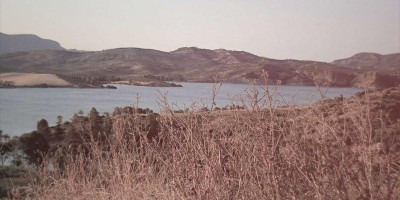 “畅聊先机：人工智能免费入口全揭秘！”