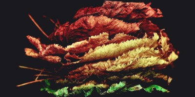 “超赞中文Chat人工智能免费入口推荐”