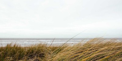 “Chat人工智能：畅聊无忧大全”