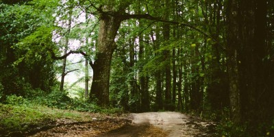 “Chat人工智能免费通道指南”