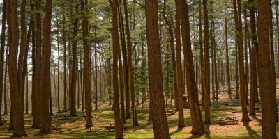 “Chat智能AI免费入口全攻略”