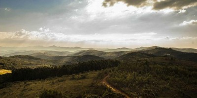 “AI写作服务小程序：点燃你的创作灵感”