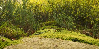 “AI Chat免费版，无需注册，畅所欲言！”