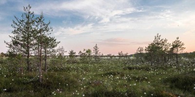 “免费Chat人工智能入口大全：汇总推荐中文版”