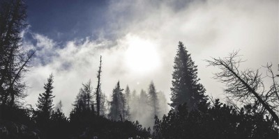 “中文版chat人工智能免费入口在线使用攻略”