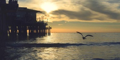 “chat3.5免费版登录指南大集合”