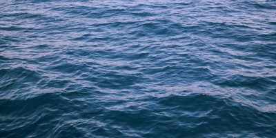 应对人工智能发展挑战：现状与前景