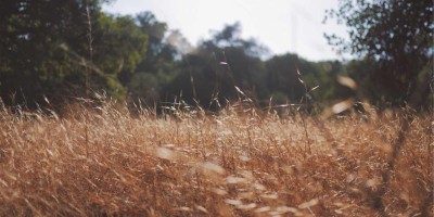 「一键畅聊，chat人工智能免费入口推荐」