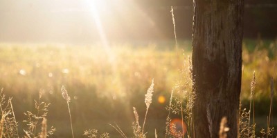 “免费chat人工智能入口大全：在线使用推荐”