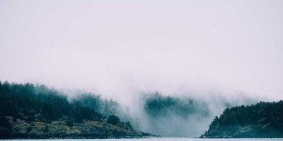 “Chat人工智能免费入口详解”