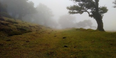 “探索Chat人工智能免费入口，轻松在线使用”