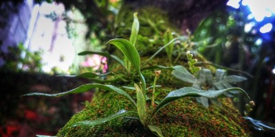 “Chat人工智能免费入口大全：推荐中文版网页版”