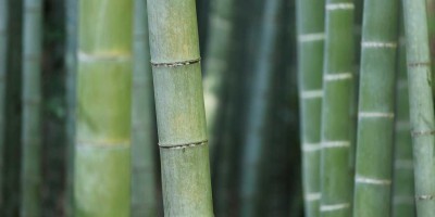 人工智能免费入口全汇总及推荐